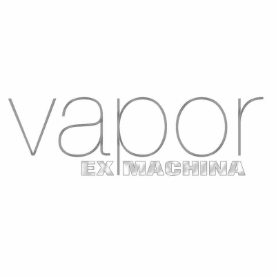 Kanthal-Verdampferköpfe für den Vapor Giant GO3 - Vapor Giant